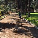 Chio Zedillo Carmona