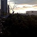 marialejandrarojasbermeo