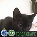 Anna Valentina Castillo Rincon