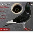 Andres Sebastia Miralles