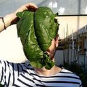 Víctor Pascual López