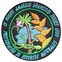 Puente Amarillo Francisco Torres León