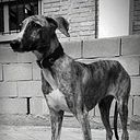 Christian Sanchez Martinez