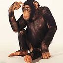 Juan Israel López Carrillo