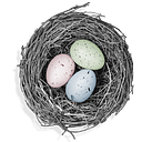 Paloma Fernandez Mateu