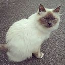 Geimy Fajardo Ferrer