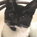 Carmen Guerra Martinez