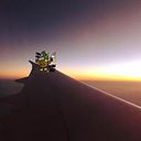 David Avila Cifuentes