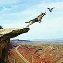 Eduardo Martinez Briones