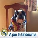 Pelayo García-Pardo Martín-Serrano