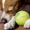 María López García