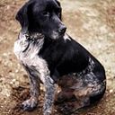 José Barrera Martínez