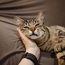 Noelia Mollá Morell