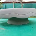 Claudia Alejandra Fiorucci