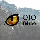 Jordi Palacios Serra