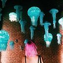 Teresa Muñoz Valera