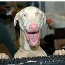 Jorge Romero González