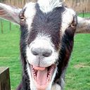 La Cabra Productions