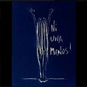 Roxana Videla Linares