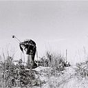 Giovanna Giampetruzzi