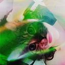 Claudia Padilla Gutierrez