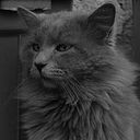 Arturo Delgado Melgoza