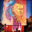 CLAUDIA FERNANDA DOMINGUEZ MORALES