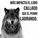 Javier A. Davila Cortes