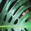 rebeca_benitez_gonzalez