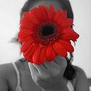 Rous Bernal