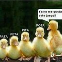 Raul Cortes
