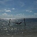 Mónica Arellano Alvarez