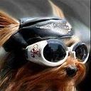 Borja Escolar Colado