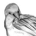 Hemilse Barraza Vargas