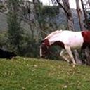 Antonio Chimarro Padilla