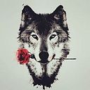 enriquehermosillo959