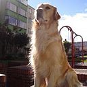 Edidson Rojas Abaunza