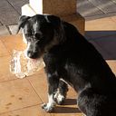 María Castro Gómez