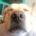 José Mejía Meneses