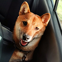 Oscar Rolando Garcia Adame