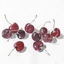 mónica ferrera iriarte