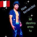 Noe Fernandez Sanchez