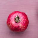 catalina mangelsdorff