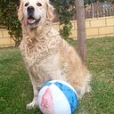 Domingo GARCÍA CAZALLA