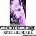 Humberto García Buscaglione