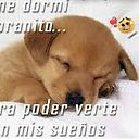 juansebastianvargas2003