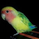 Enrique Remacho Boldoba