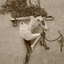 Natalia Gómez Gómez