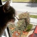 Angie Tatiana Lopez Avellaneda