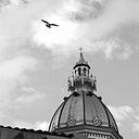 César Duarte Higuita